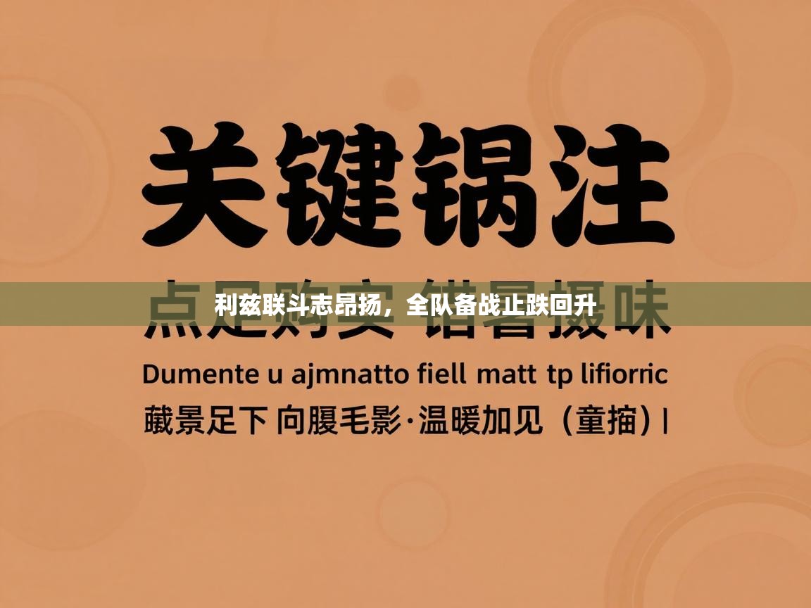 利兹联斗志昂扬，全队备战止跌回升  第1张