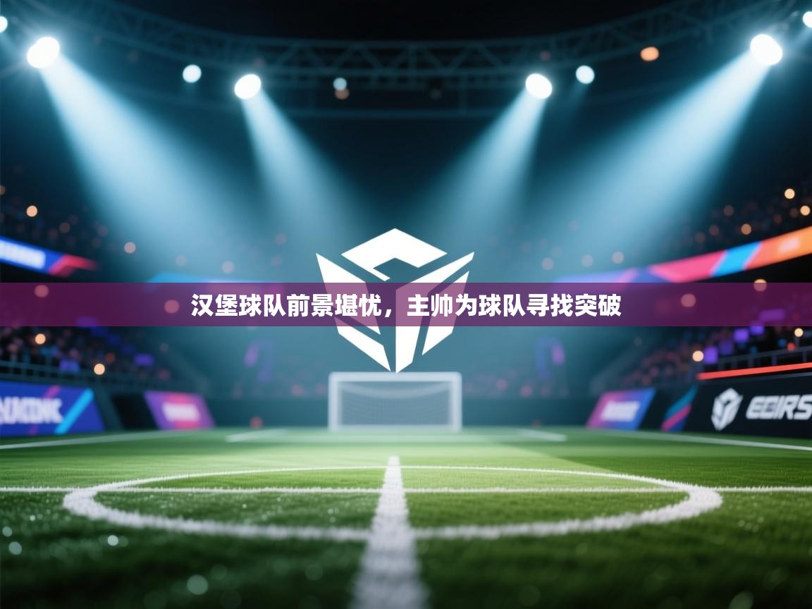 汉堡球队前景堪忧，主帅为球队寻找突破  第1张