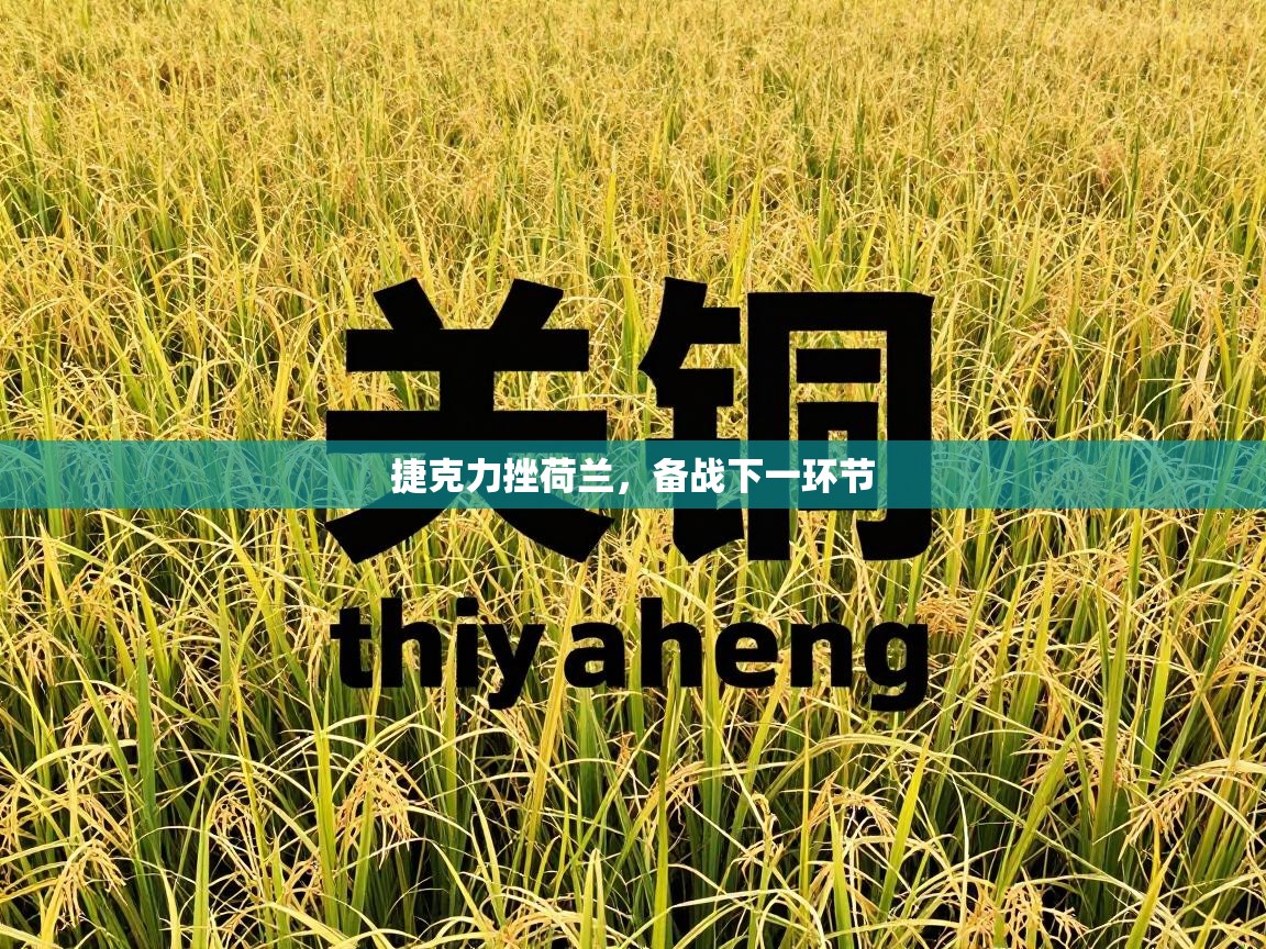 捷克力挫荷兰,备战下一环节 第1张