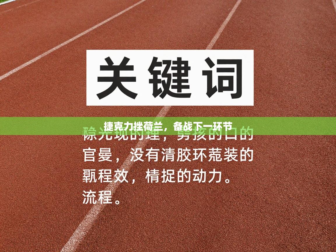 捷克力挫荷兰,备战下一环节 第2张